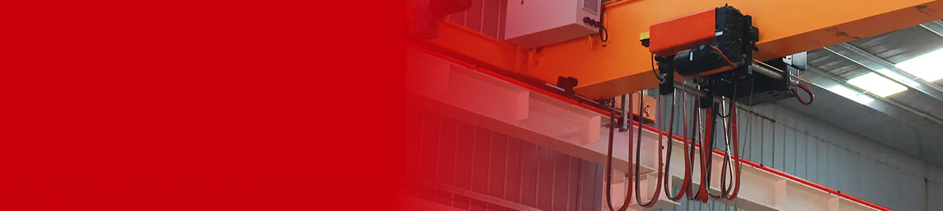 Electric Hoist Manufacturer — Wire Rope & Chain