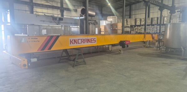 5 Ton European Single Girder Overhead Crane for a Food and Beverage Plant