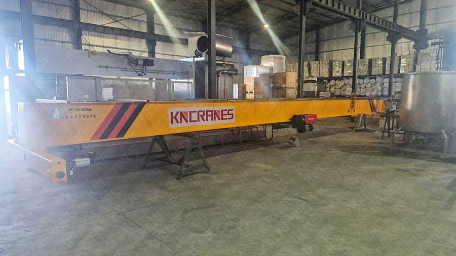 5 ton European single girder overhead crane installed in a food and beverage plant in Argentina