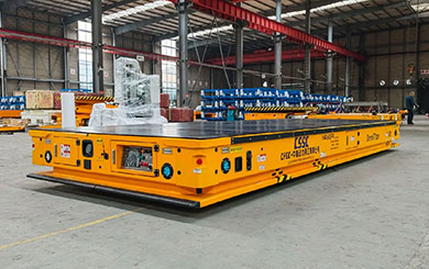 Omnidirectional Transport Platform