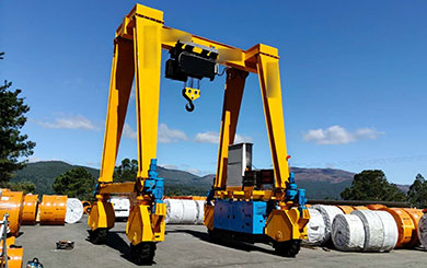 Gantry & RTG Cranes